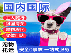 阜阳航空货运国际宠物托运 【国